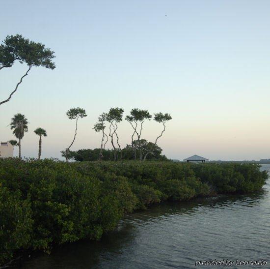 Tradewinds Resort By Resortquest Bradenton Beach Zewnętrze zdjęcie